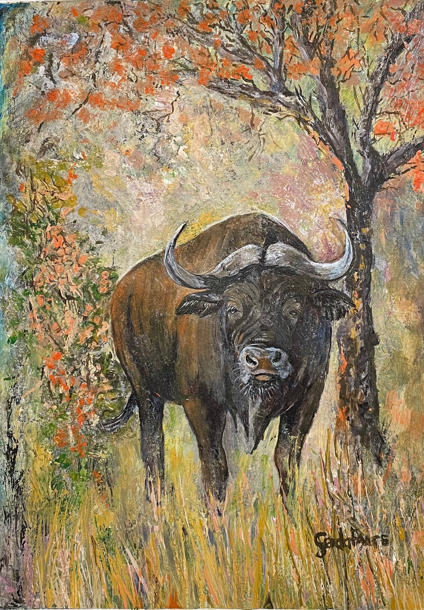 Buffel (Afrikaans: Buffalo)