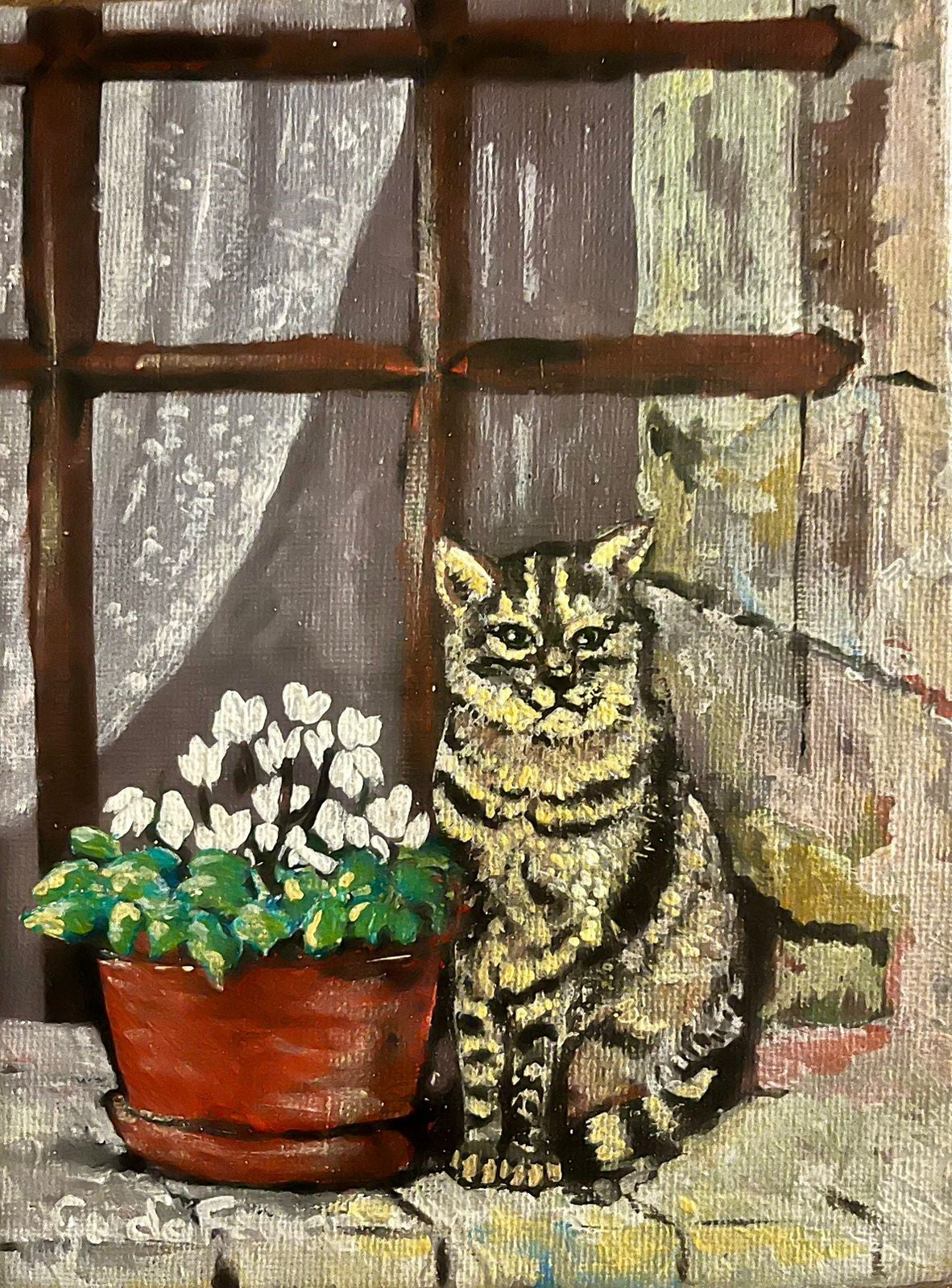 Tabby cat in window