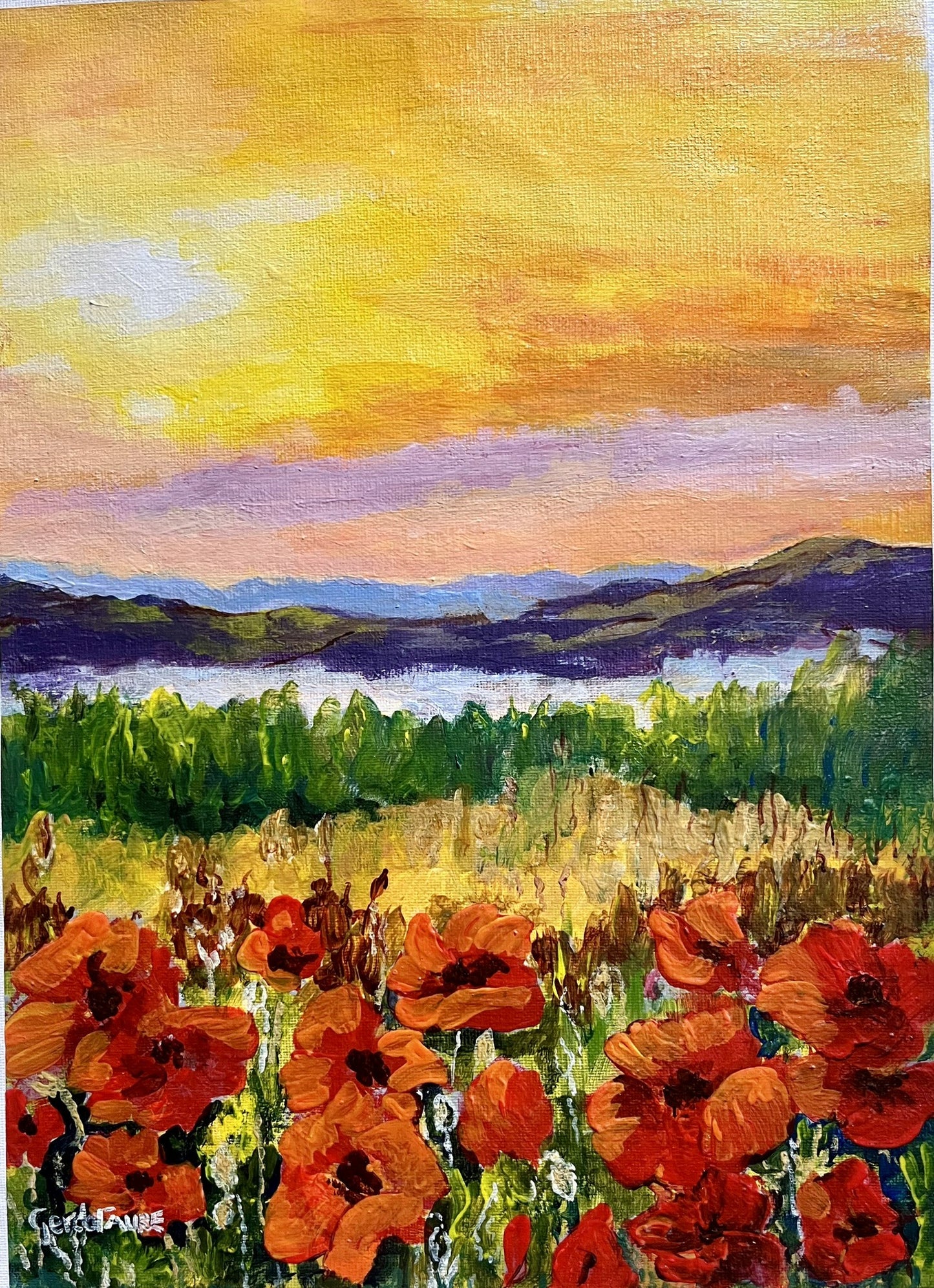 Poppy field