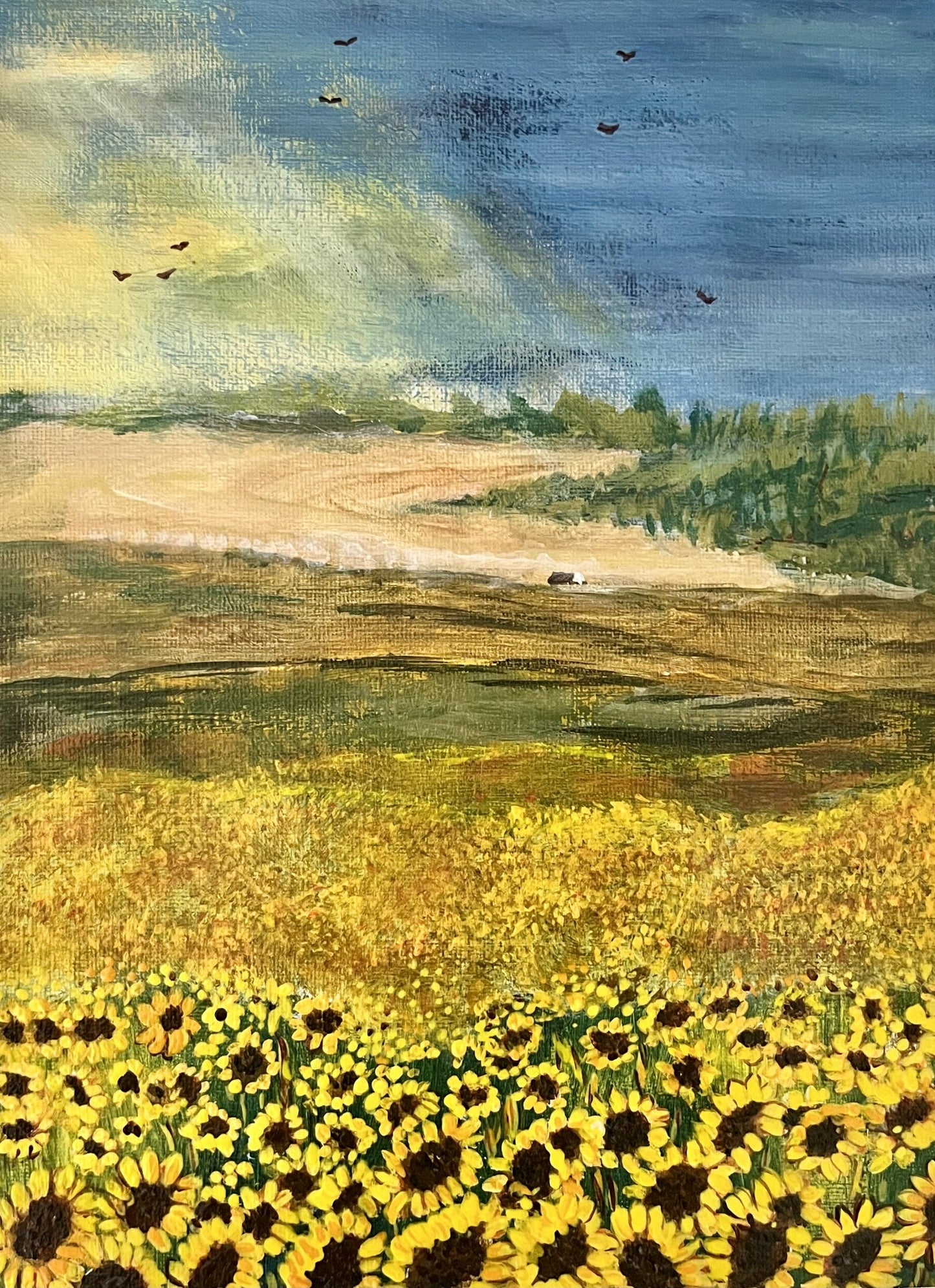 Sunflower field