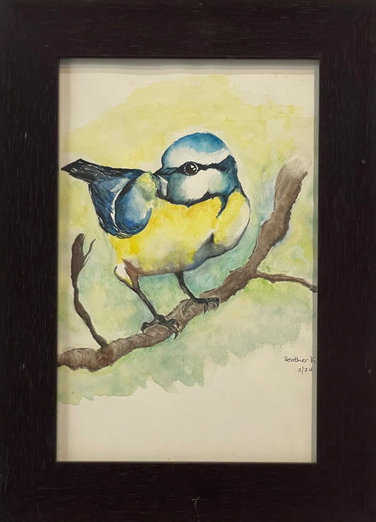 Blue bird - Blue tit on a branch