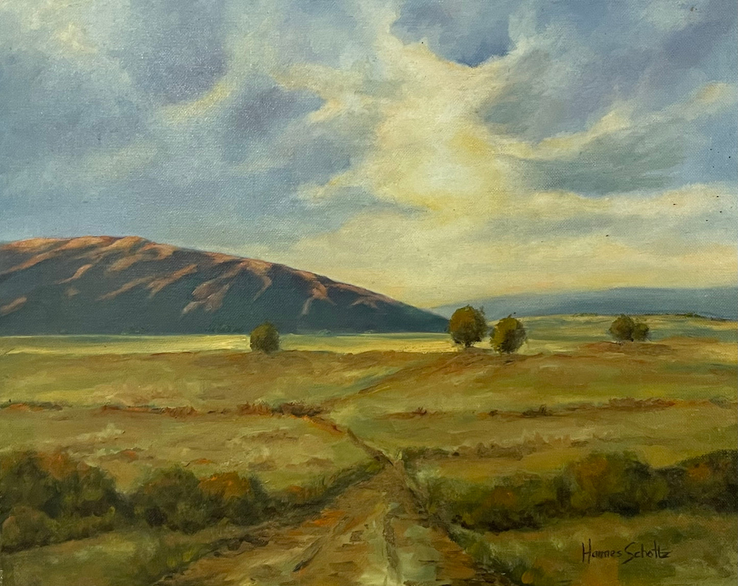 Karoo landscape