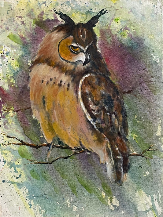 Owl