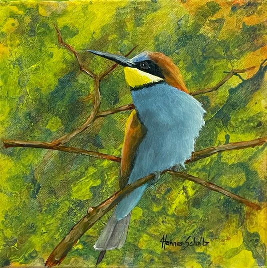 Bee eater 1