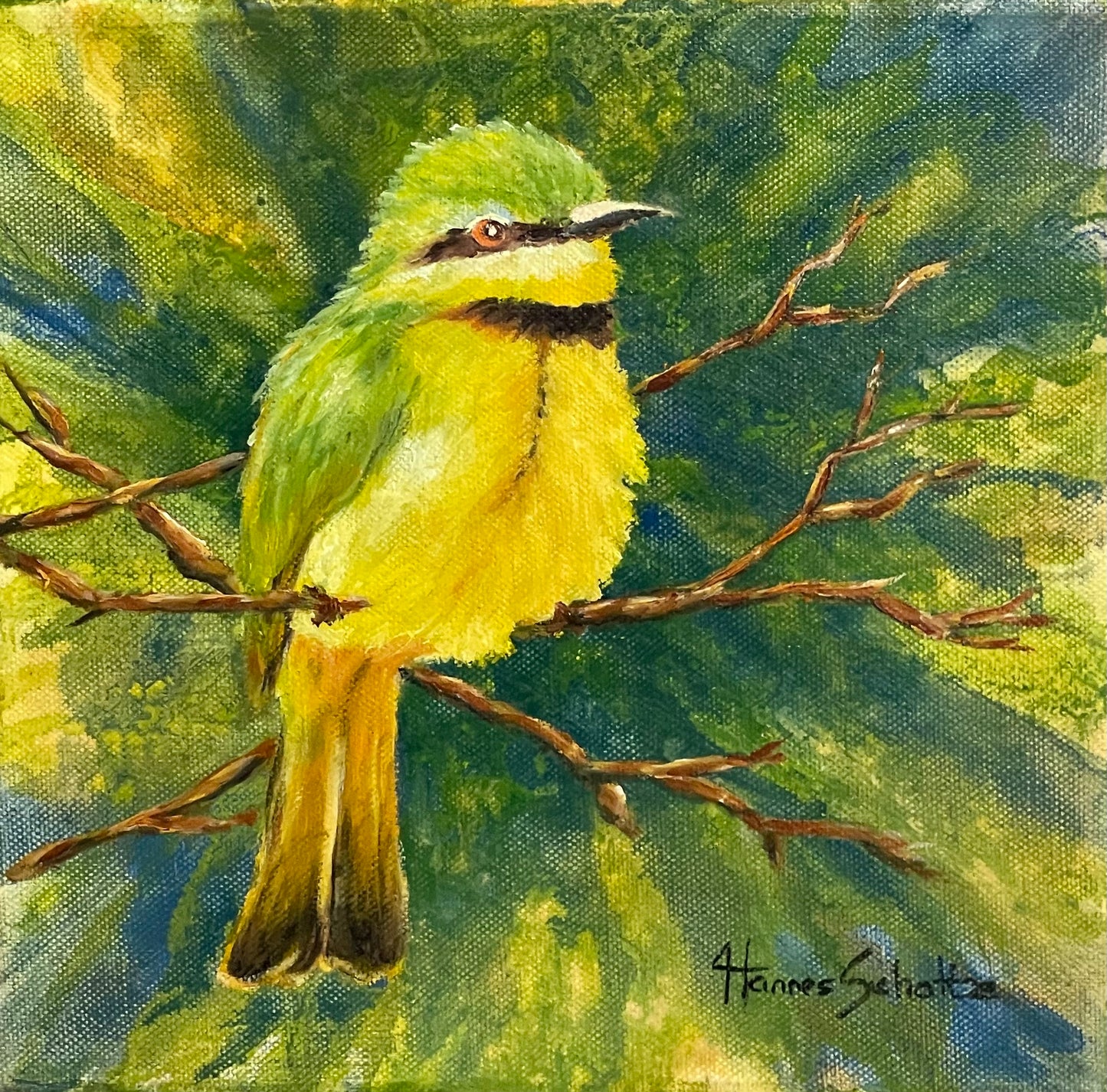 Bee eater 3