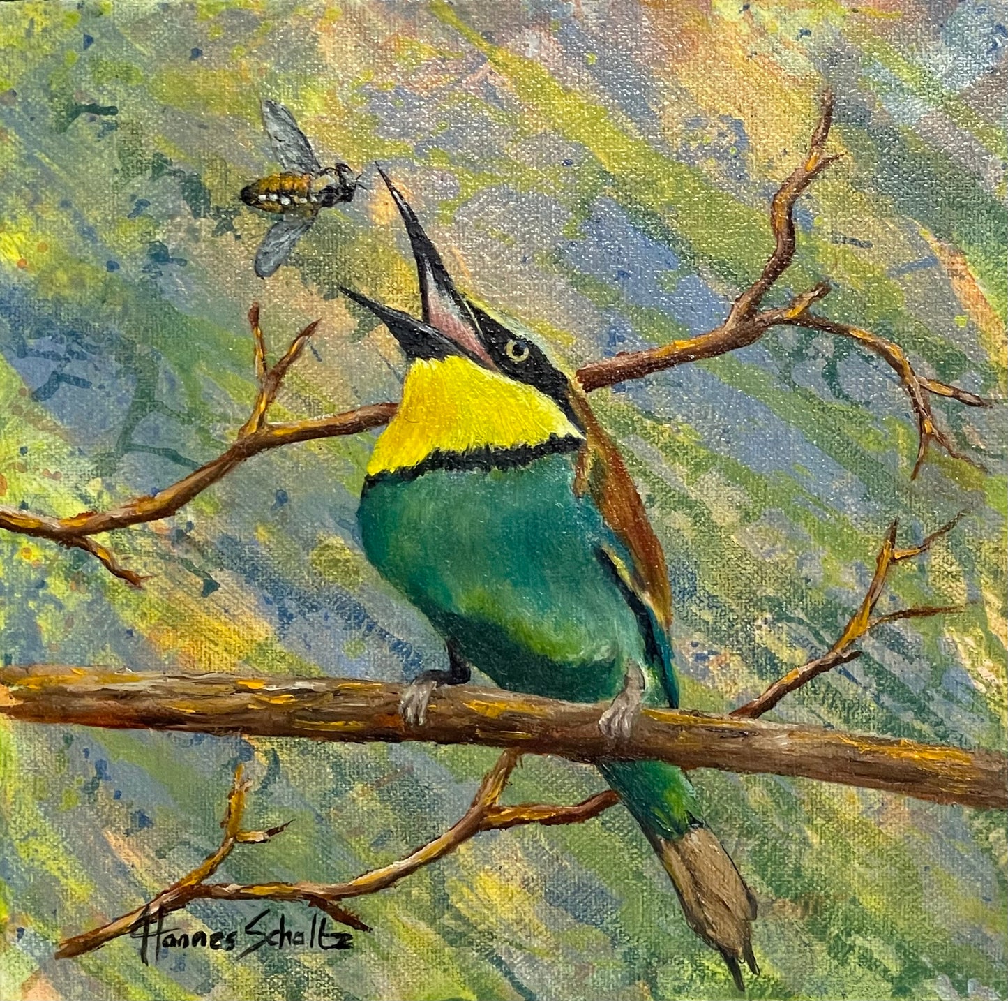 Bee eater 4