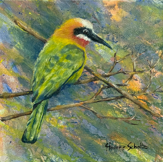 Bee eater 5