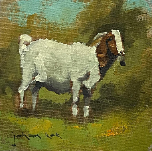 Goat study