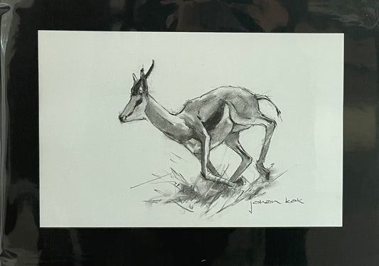 Springbok 3