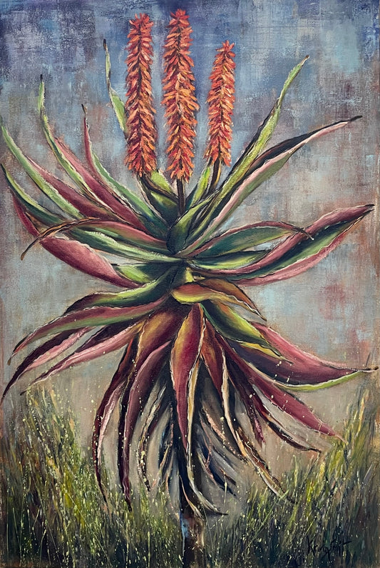 Aloe