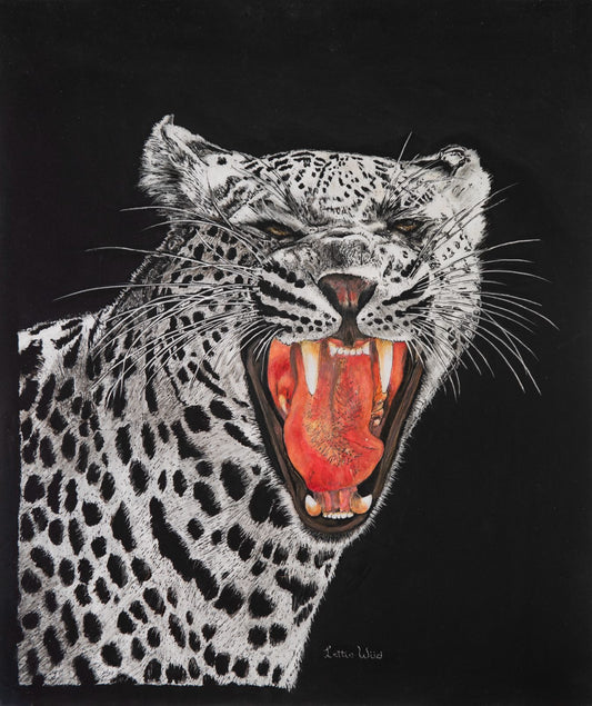 Roarrr! (A leopard roaring)