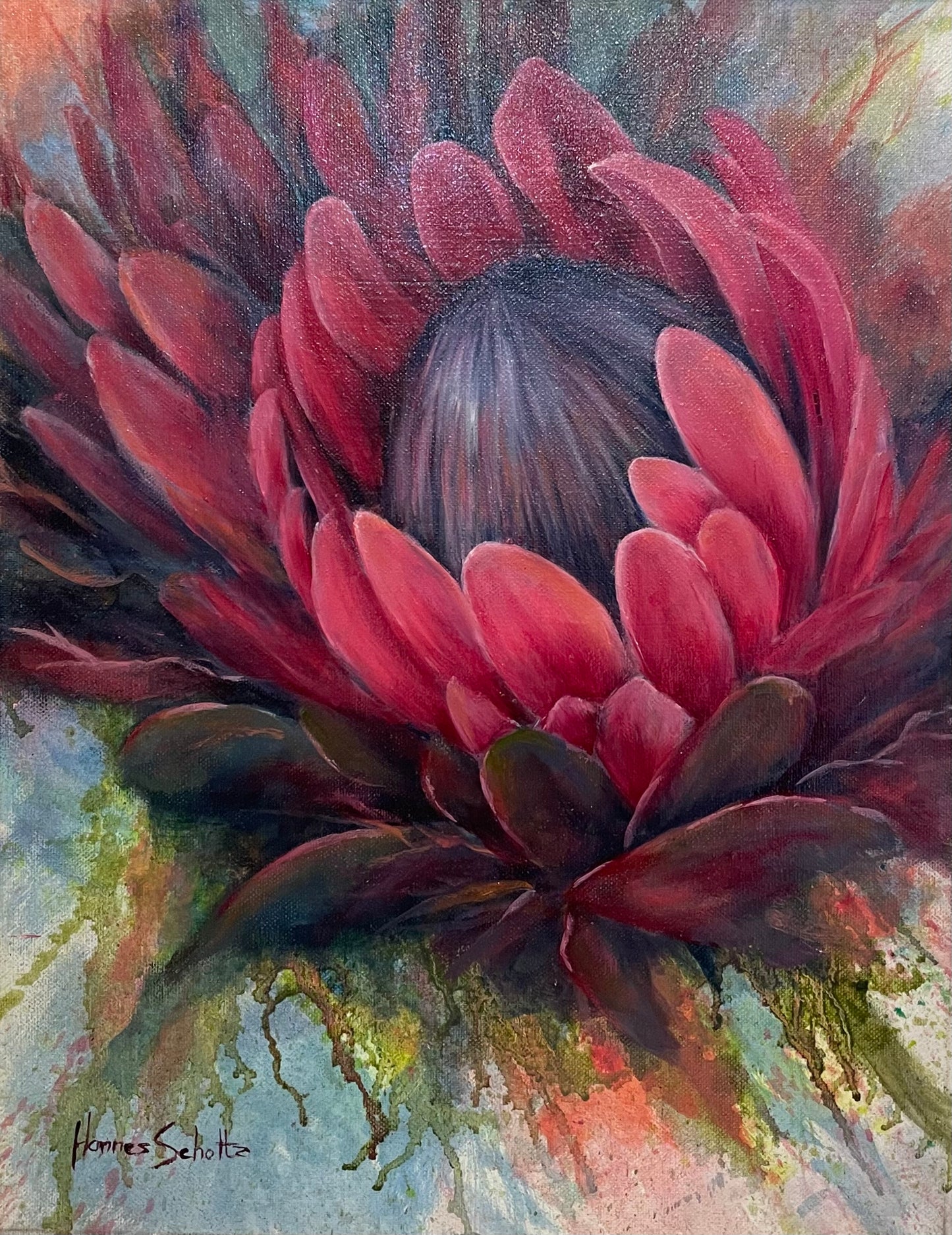 Protea